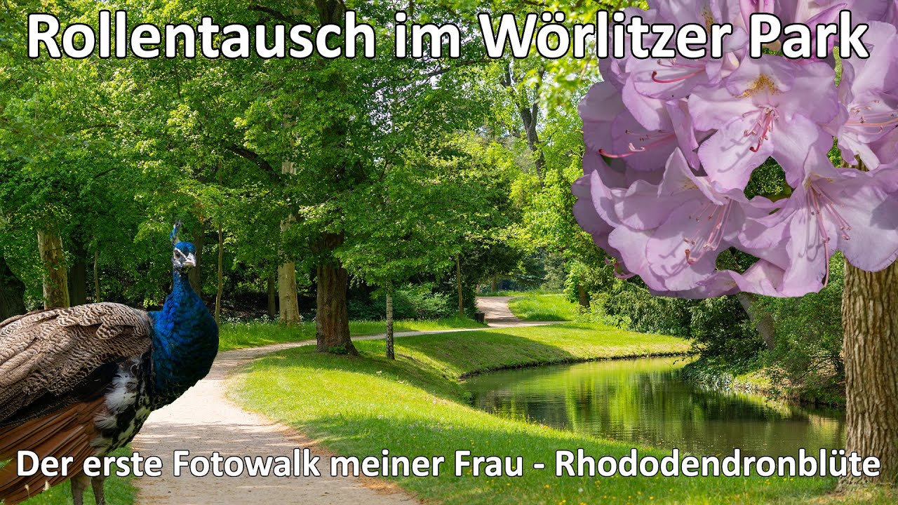 Die Kamerafrau macht einen Fotowalk - Fr&uuml;hlingsbl&uuml;te im W&ouml;rlitzer Park - Sony A7 IV - ZV-E10