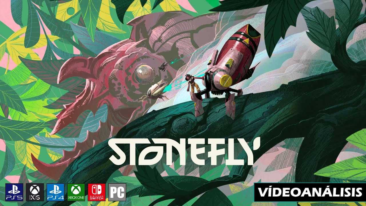 Vídeo análisis de Stonefly