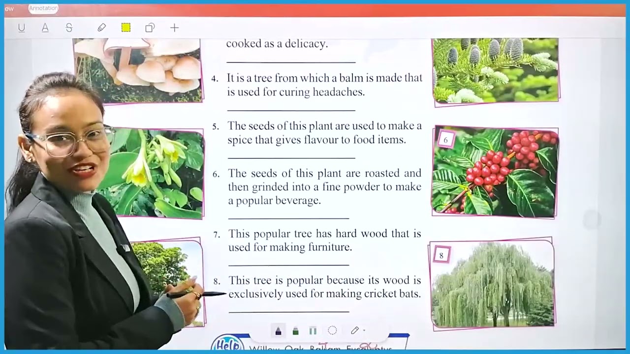 GK I Class 8 I Chapter 10 Useful Plants