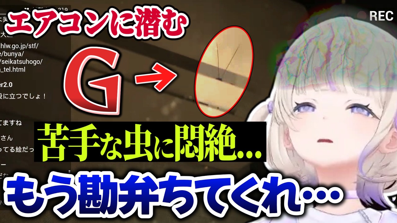 虫に怯えて崩壊する赤たん番長を見て愉悦に浸りましょう【 #ろきじめ #轟はじめ #ホロライブ #ホロライブ切り抜き #hololivedev_is #regloss 】