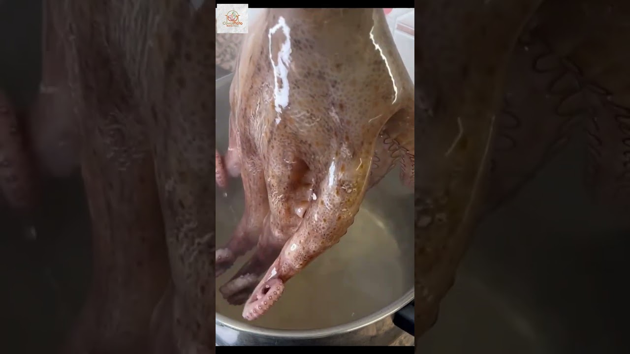 Cocer el pulpo, &iexcl;&iexcl;m&eacute;todo para que salga perfecto!!