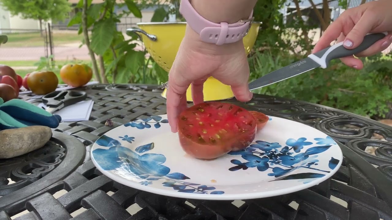 Two Minute Tomato Taste Test #2 - Cherokee Purple