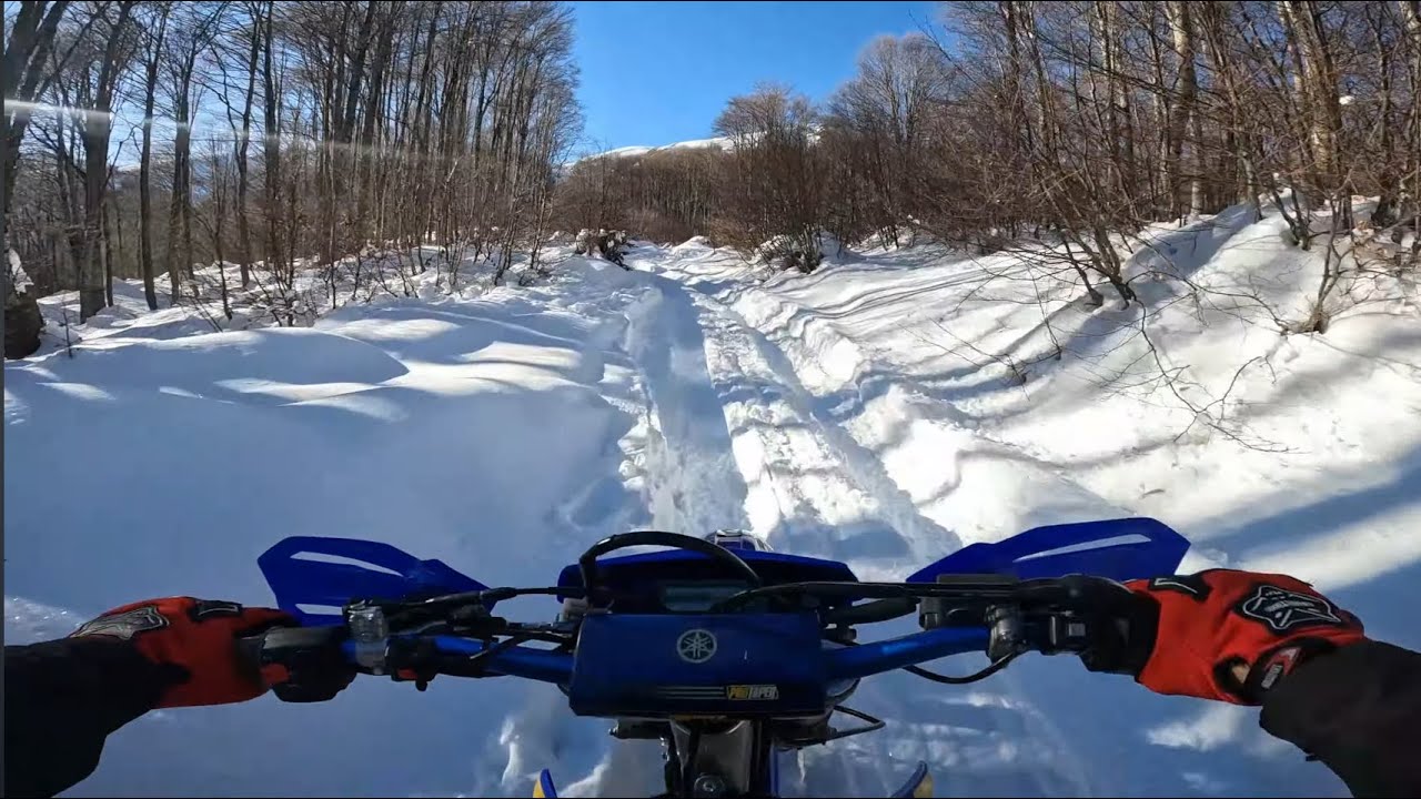 YAMAHA WR450 back to blue