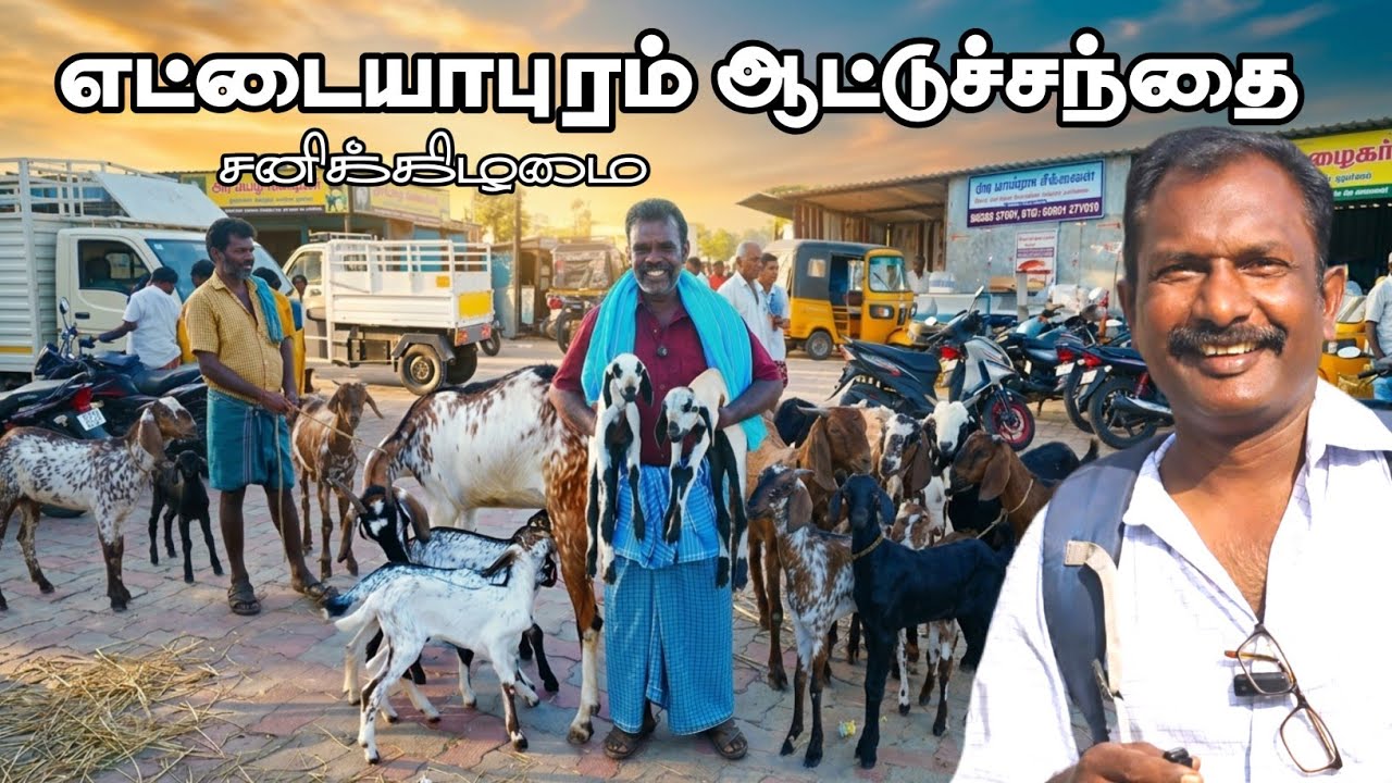 எட்டையாபுரம் சனிக்கிழமை ஆட்டுச் சந்தை 14/03/2026- தூத்துக்குடி மாவட்டம்