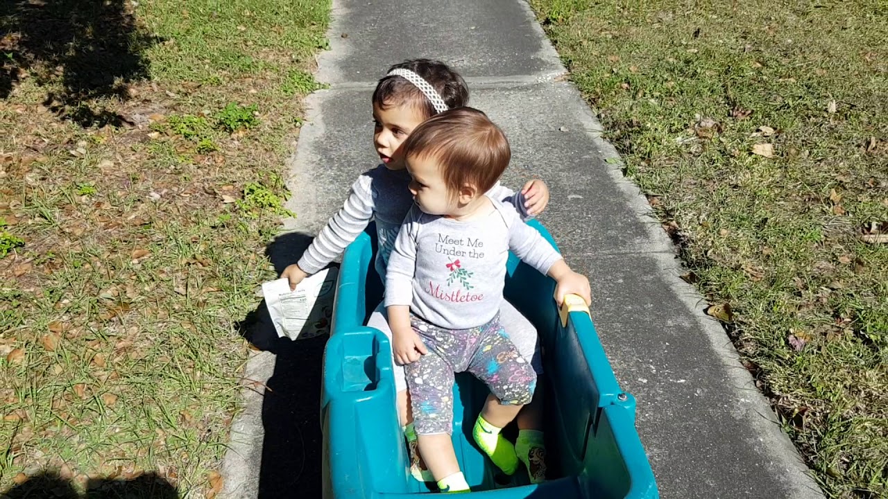 Lifeschooling: The sibling's love
