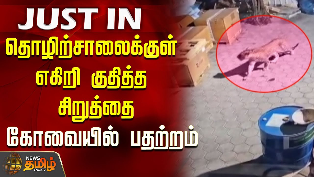தொழிற்சாலைக்குள் எகிறி குதித்த சிறுத்தை...கோவையில் பதற்றம்..! | Leopard Roaming