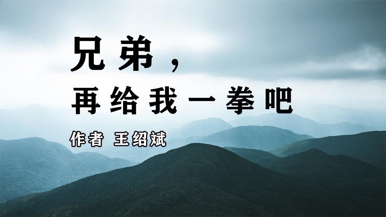 《兄弟，再给我一拳吧》作者 王绍斌