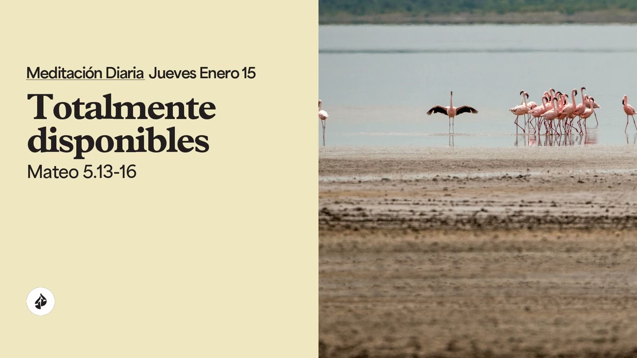 Totalmente disponibles &ndash; Meditaci&oacute;n Diaria