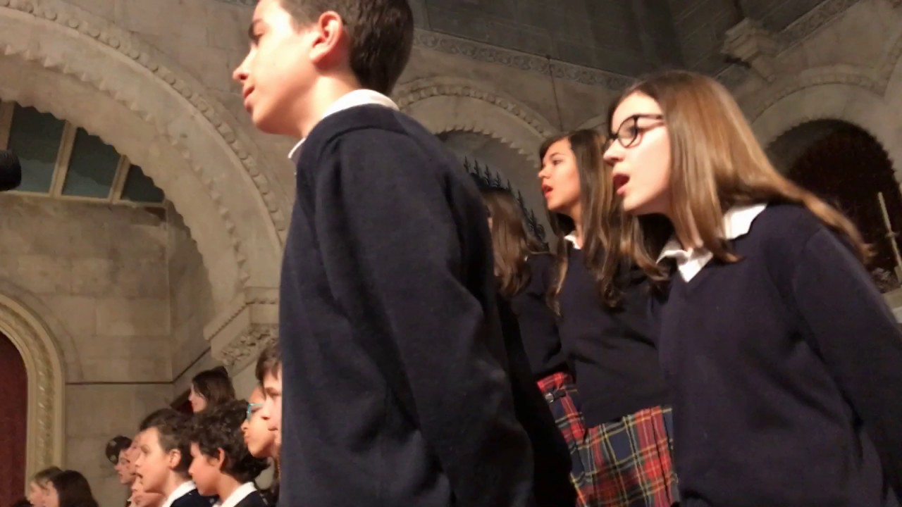 california dreamin Coro Escolar Loreto