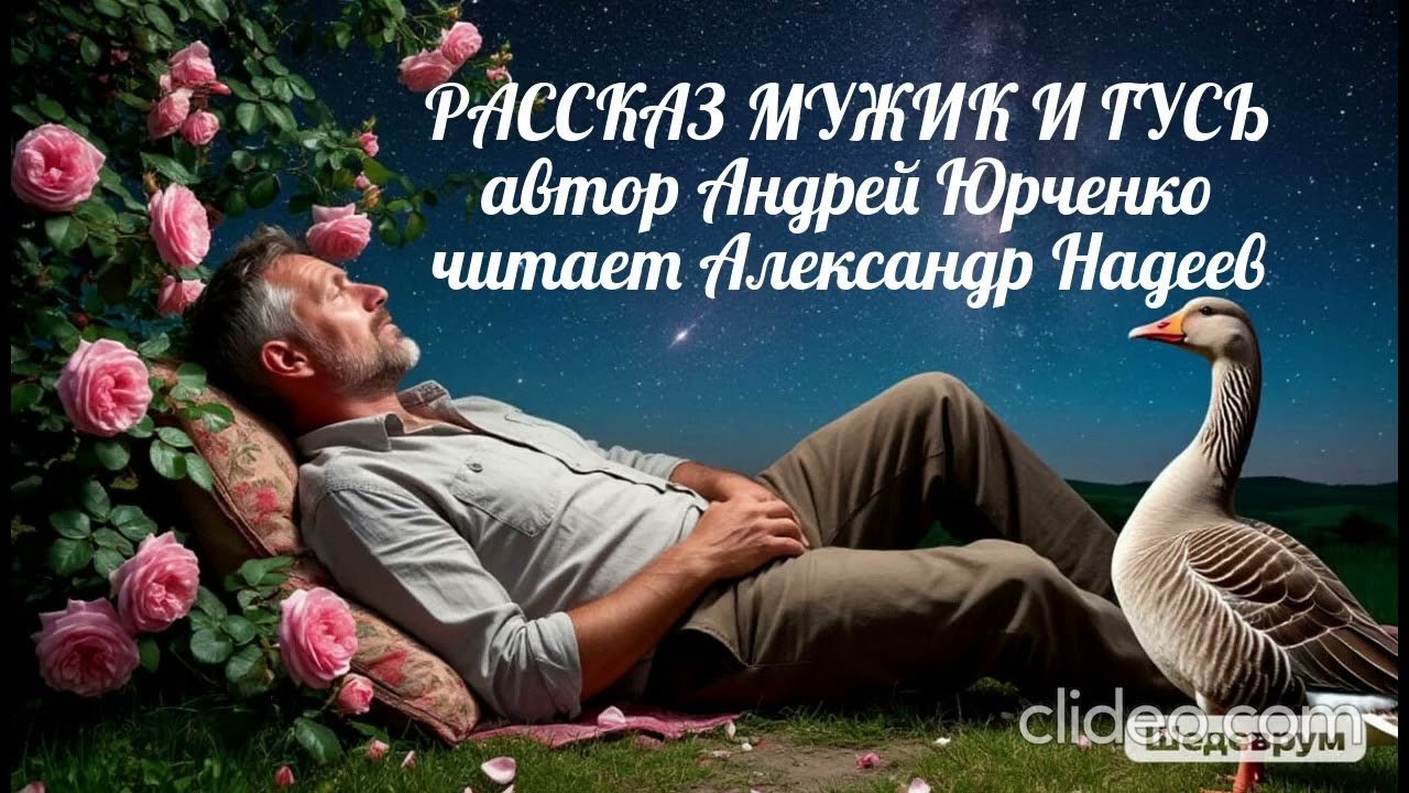 Рассказ. Мужик и гусь. Писатель Андрей Юрченко, читает артист театра и кино,  Александр Надеев.