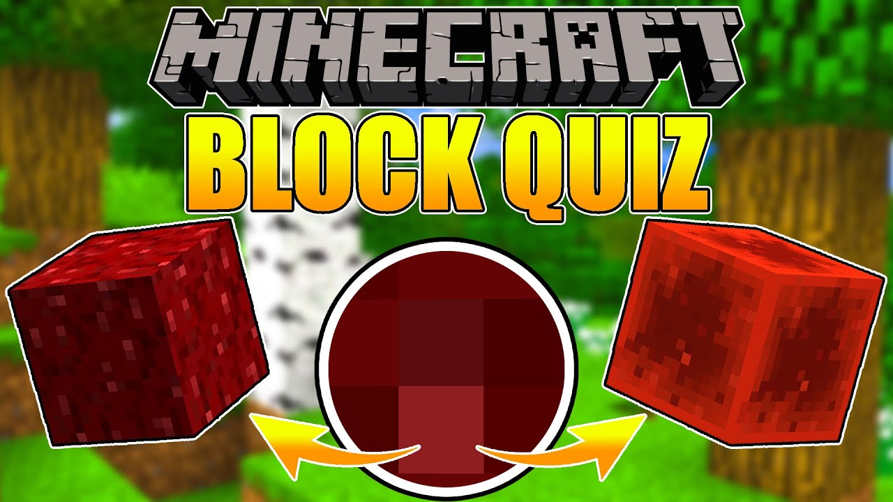 GUESS THAT BLOCK IN MINECRAFT!
