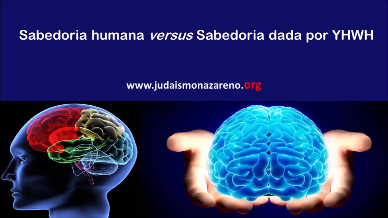 Sabedoria humana versus Sabedoria dada por YHWH
