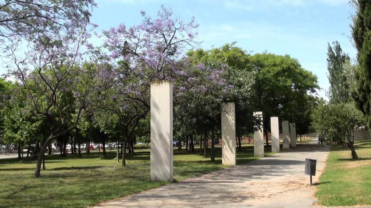 El Parc de Sant Martí  (Barcelona)