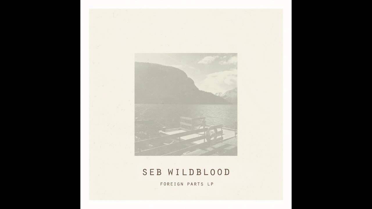 Seb Wildblood - Moodlight