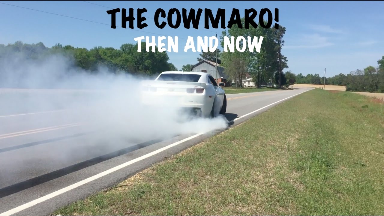 The life of my BIG TURBO CAMARO : The COWMARO