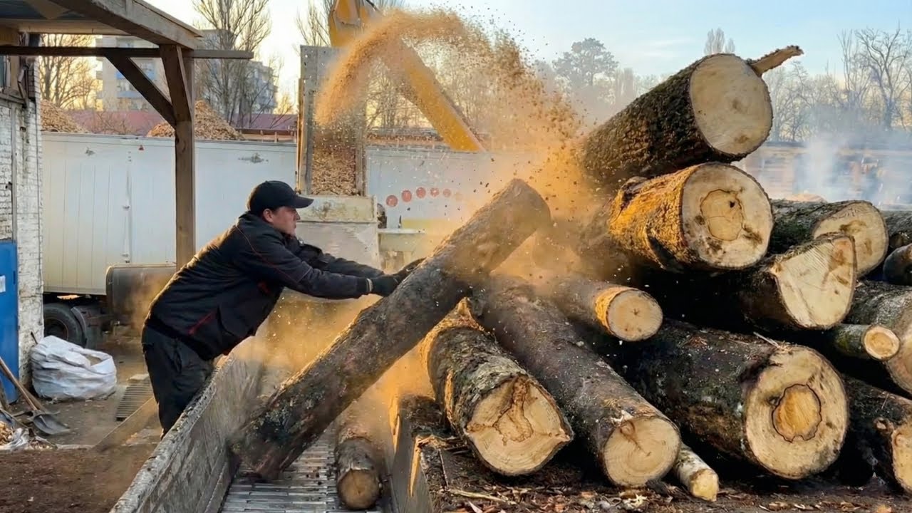 The Most BRUTAL Log Feeding Operation Ever!