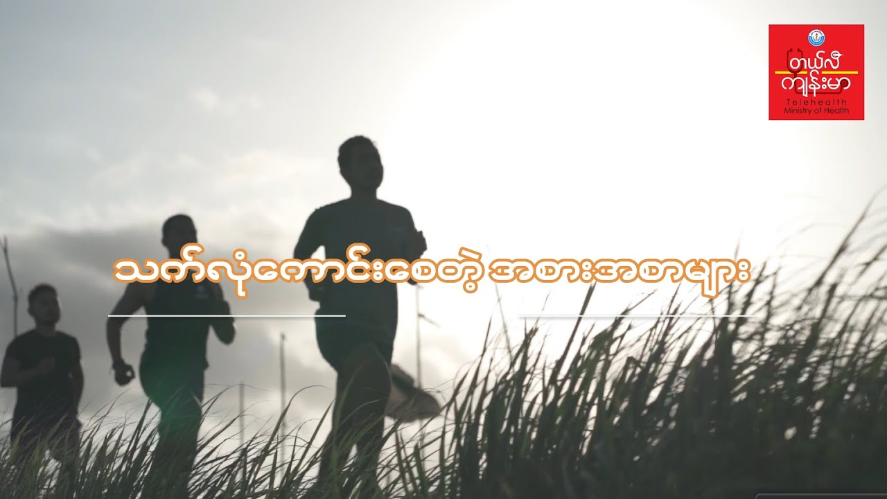 သက်လုံကောင်းစေတဲ့ အစားအစာများ