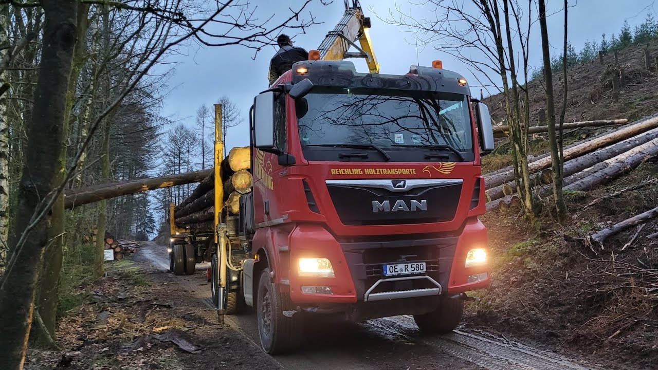 MAN TGX 33.580 Langholz LKW mit DOLL Nachläufer