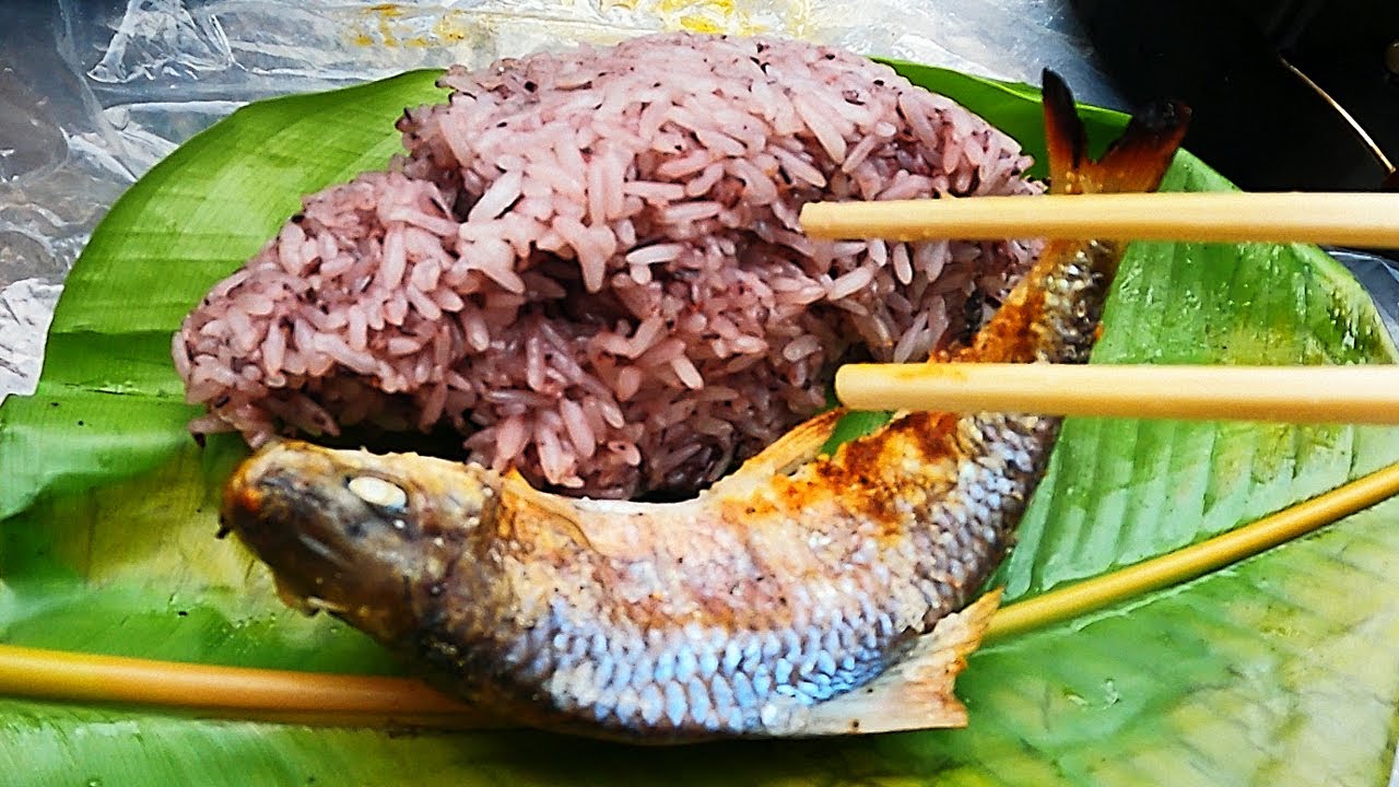 CƠM RỪNG • Ký Sự Rừng Già FINAL • Tập 3
