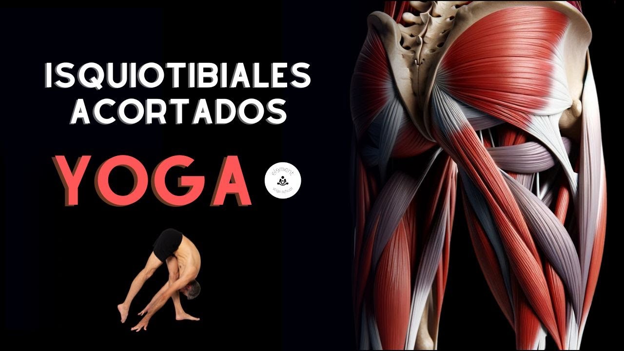 Yoga para la flexibilidad de tus músculos isquiotibiales.
