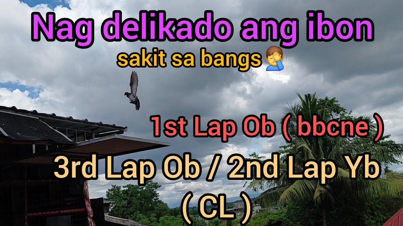 Nag delikado ang ibon Sakit sa bangs🤦 SDR 1st Lap bbcne | 3rd Lap OB 2nd Lap YB ( CL )
