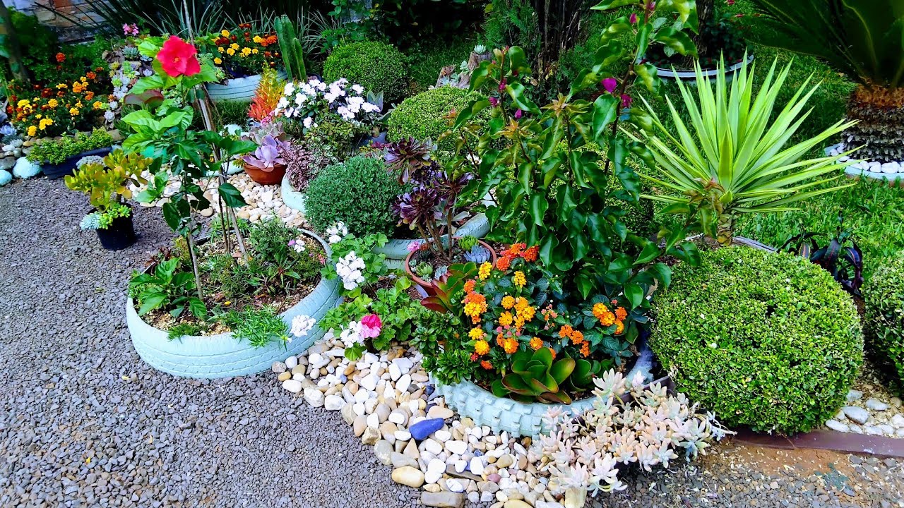 Tour no meu jardim a coleção de plantas mais coloridas chegaram  🌼🌺