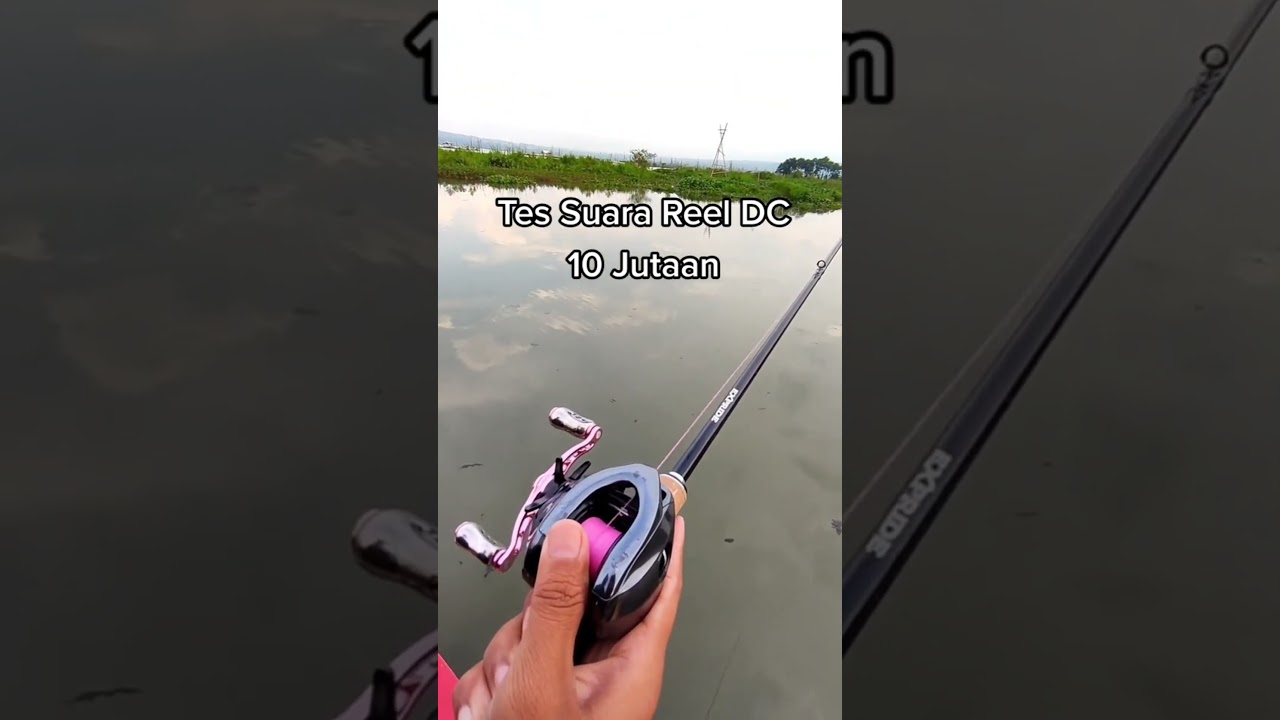 reel dc 10jt vs bc 200k sound #fishing #mancing #shorts #versus #lucu #komedi #funny #casting