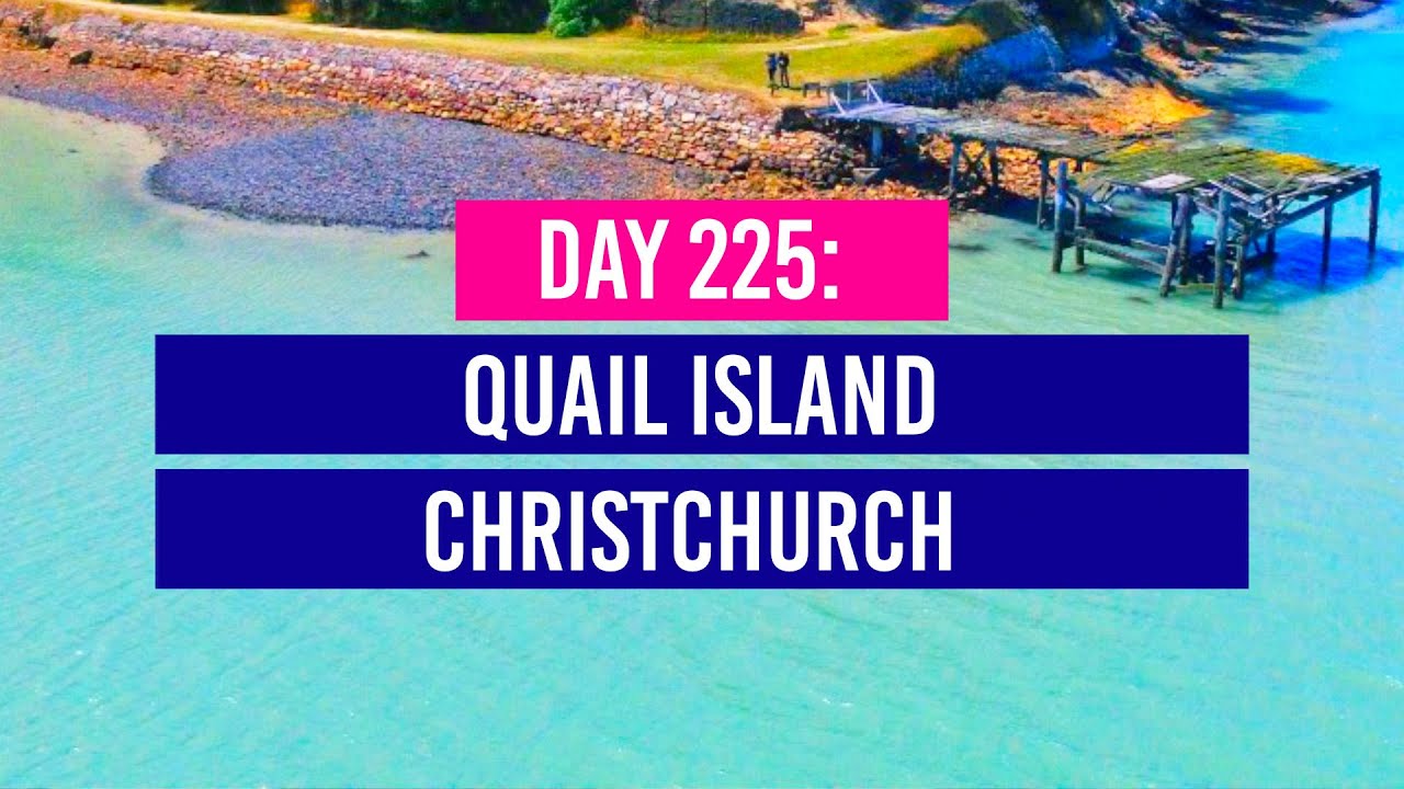 DAY 225 🏝️ Quail Island Day Out in Christchurch - New Zealand Travel