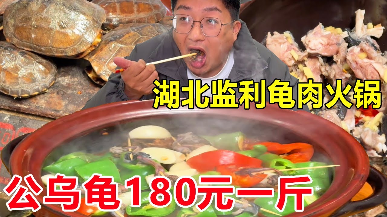 湖北监利乡镇老字号龟肉火锅，公乌龟180块一斤，两个人吃6只#麦总去哪吃