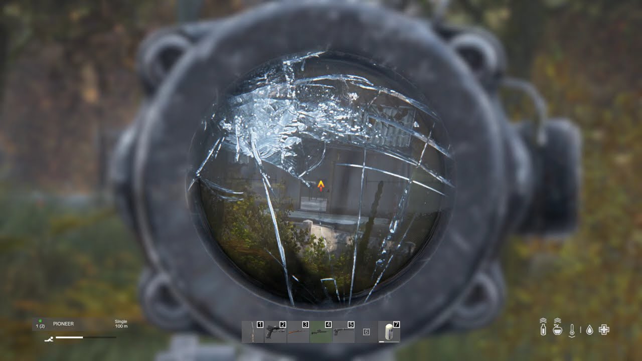 DayZ: Solo PvP