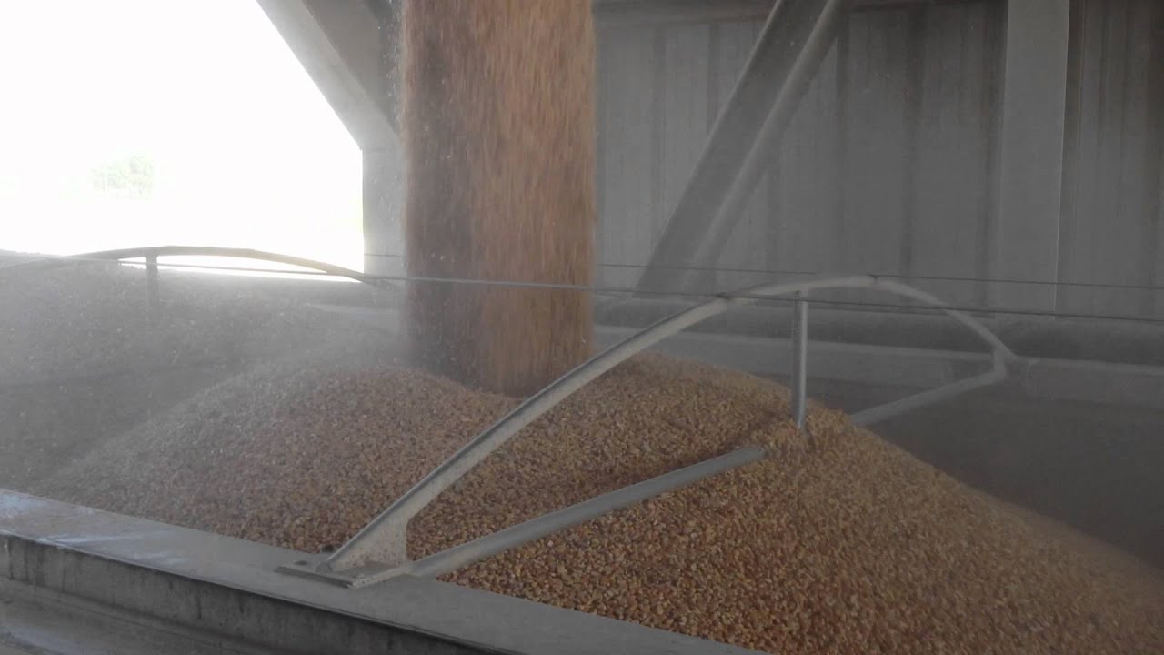 Loading Corn at CereServ