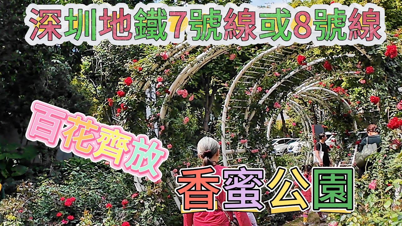 深圳地鐵7號線或8號線香蜜公園百花齊放 #中國 #China #深圳 #Shenzhen #香蜜公園 #Xiangmi Park