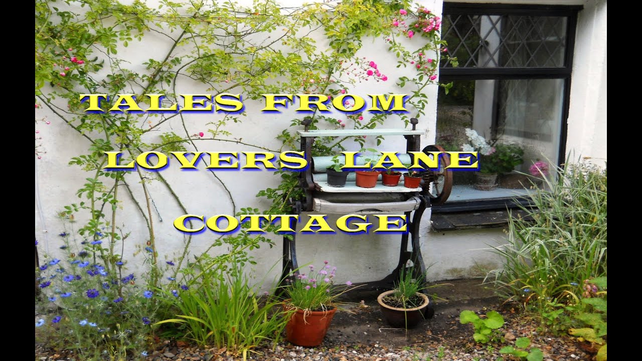 Weeding and a gardening chat