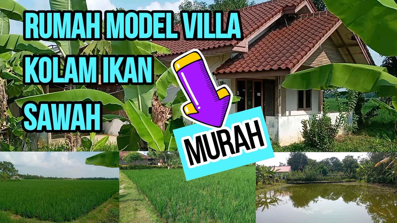 TERJUAL // DARAT, SAWAH,KOLAM IKAN DAN 1 UNIT RUMAH KARAWANG HARGA EKONOMIS KARAWANG