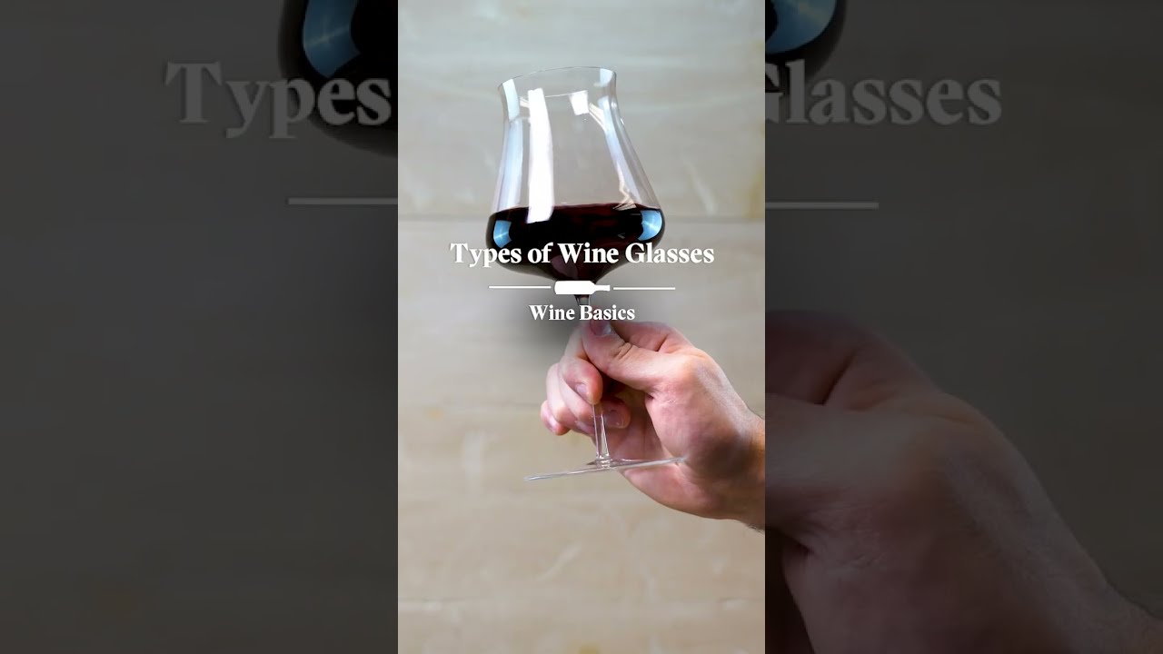 Types of Wine Glasses