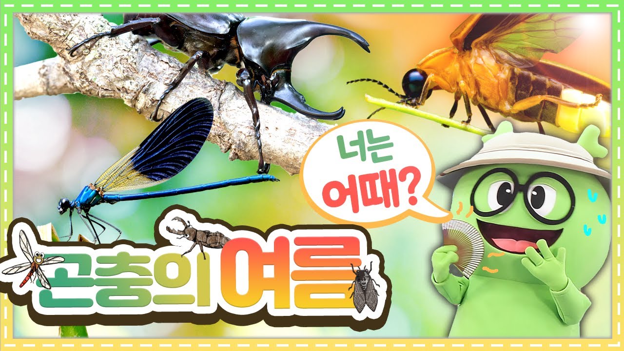 자연관찰 곤충의 여름ㅣThe Summer of Insectsㅣ자연관찰ㅣ 매미ㅣ장수풍뎅이ㅣ반딧불이ㅣ잠자리ㅣCicadaㅣRhinoceros BeetleㅣFireflyㅣDragonfly