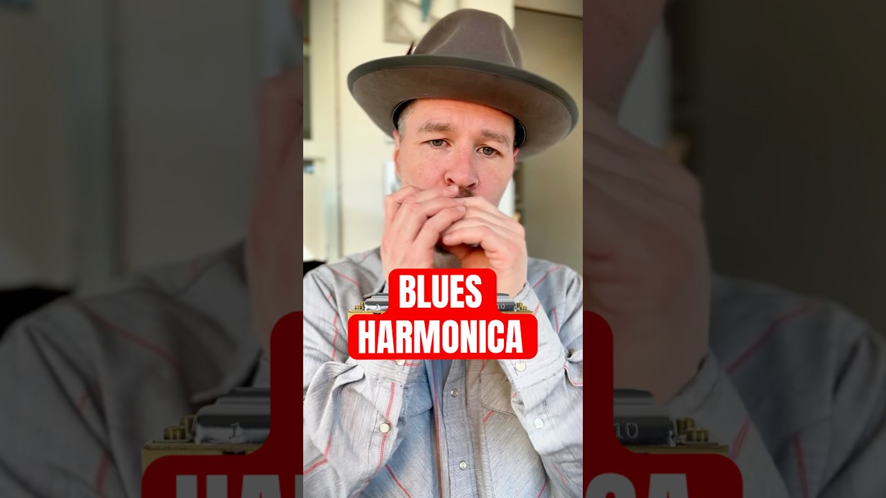Harmonica Tutorial for Beginners Blues Riff Harmonica #harmonica #blues