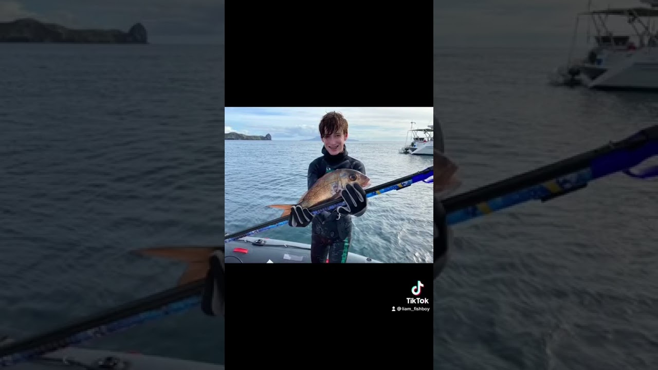 Great barrier island compilation