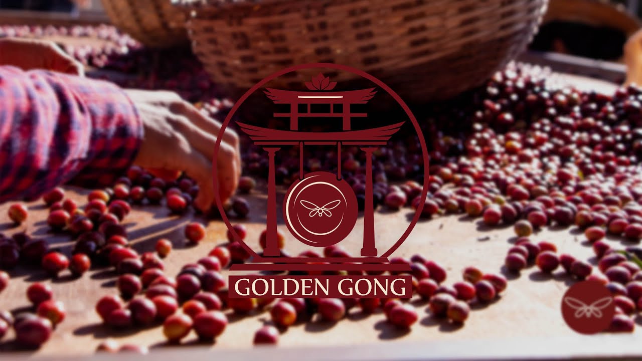 |Berrytale| - Golden Gong Susu Aung - Lavé