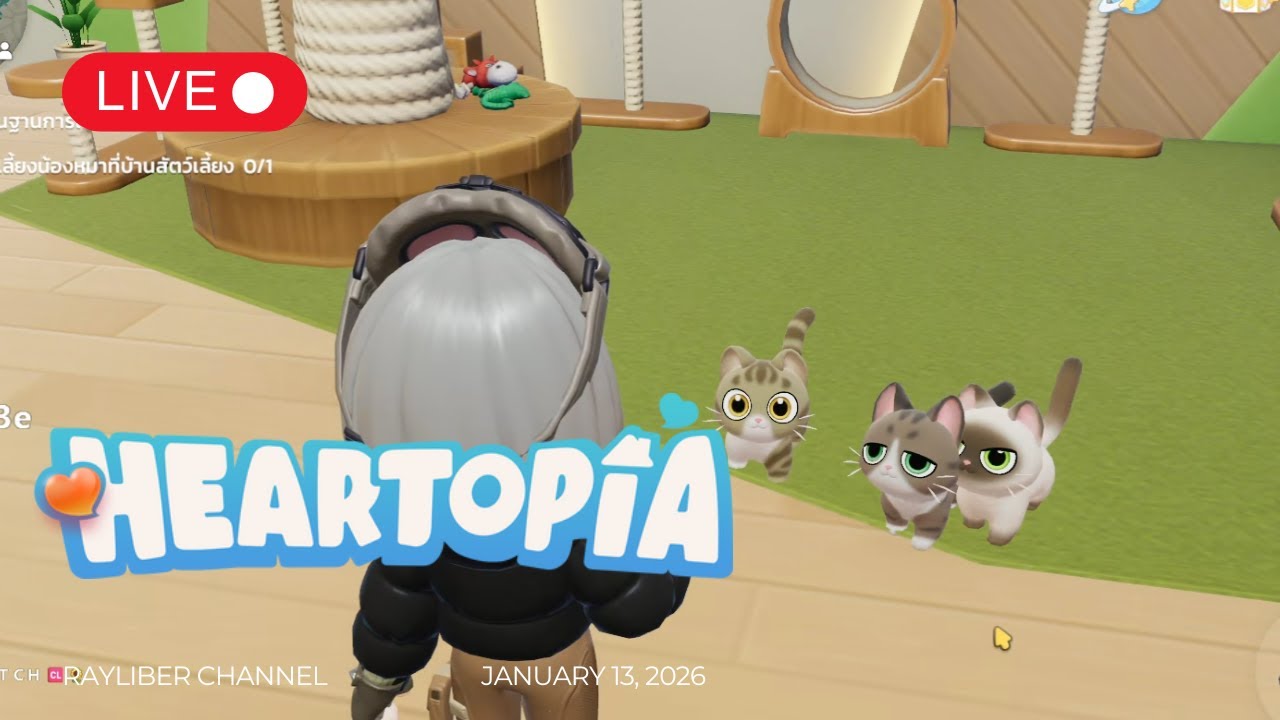 (LIVE ย้อนหลัง) EP.5 รับเลี้ยงน้องหมาแมว ให้อาหารสัตว์ | HEARTOPIA