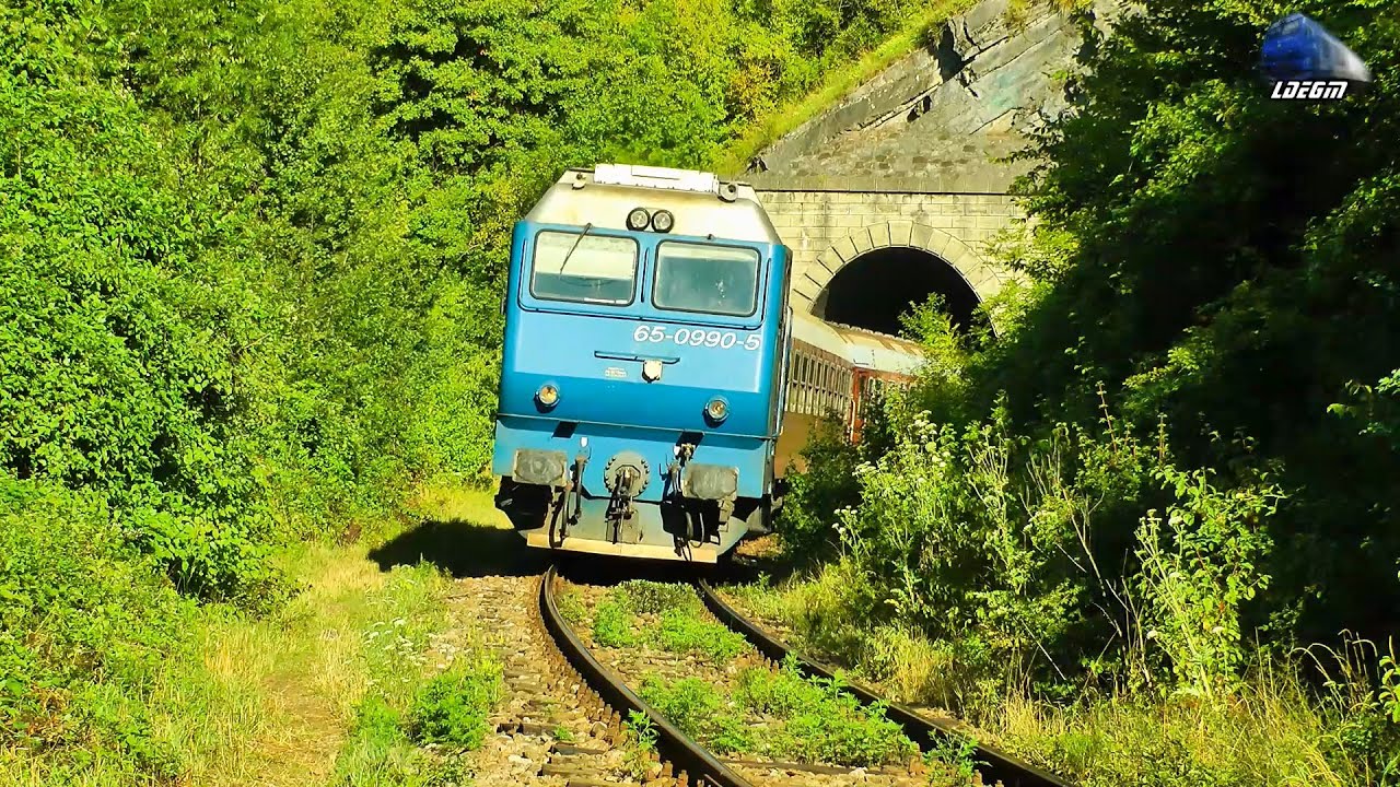 Trenuri cu Mecanici de Treaba/Trains with Nice Engineers in Apuseni Mountains - 01 August 2015