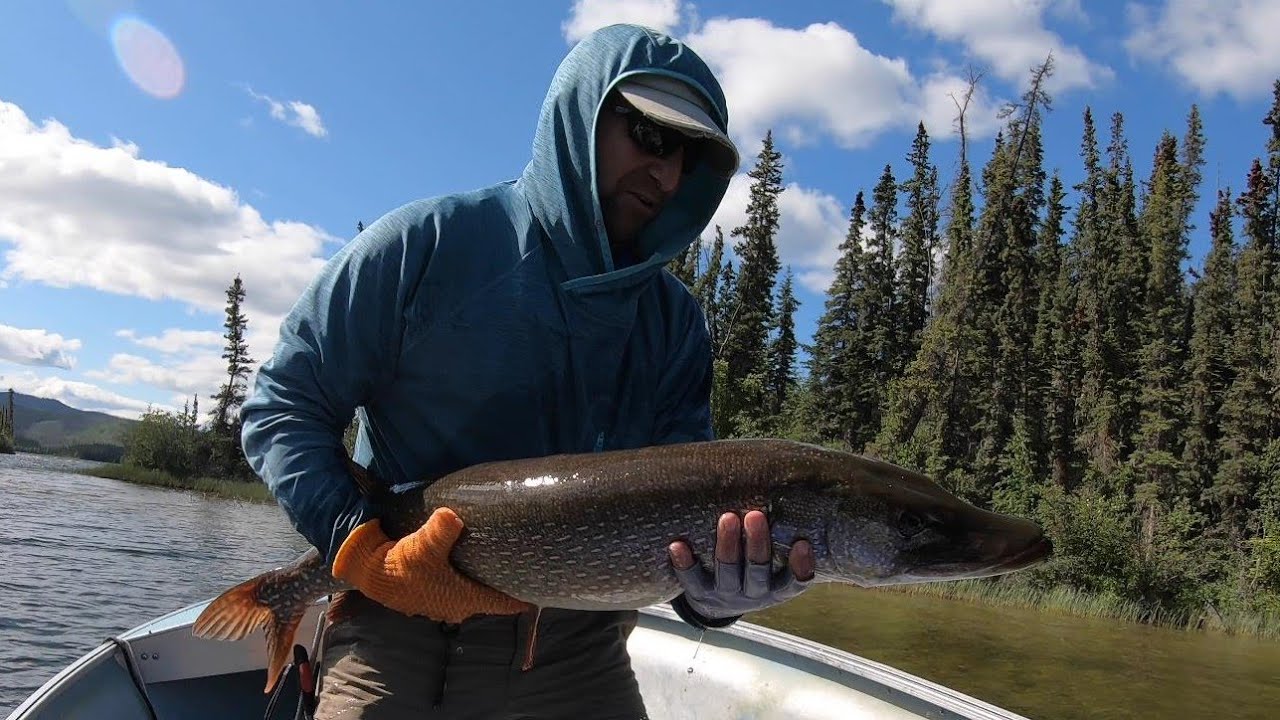 Exciting Canadian Wilderness Pike Fly Fishing Adventure with Mouse Flies