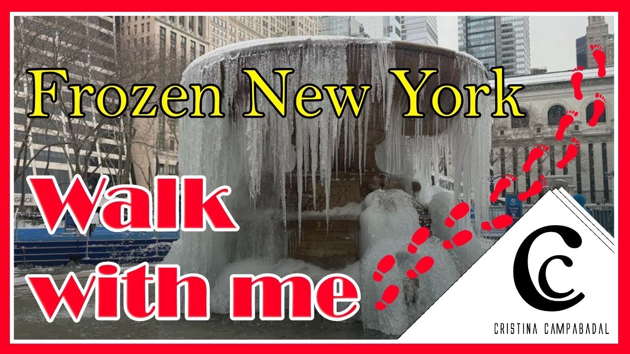 ❄️Today in #NYC! #newyorkcity is frozen. Beautiful walk from HudsonBlvd to #bryantpark 🥶🤍 #snow