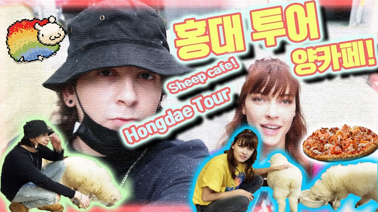 [VLOG] 미초바와 깜짝 홍대 투어 + 양카페!(Feat. 일일도우미데이브) Quick Hongdae Tour with Stefanie + Sheep Cafe