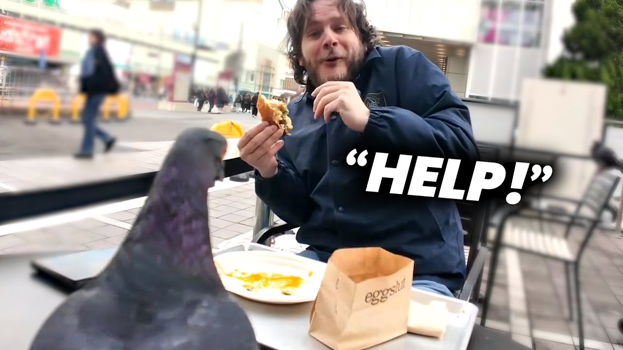 Streamer Gets Mugged By A Pigeon | Twitch Fails #46