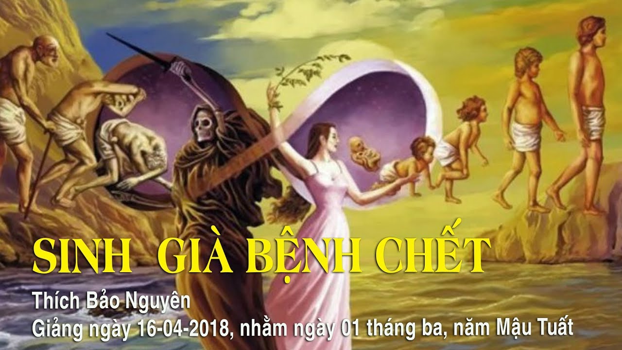 SINH GIÀ BỆNH CHẾT (thật vi diệu) - Thích Bảo Nguyên