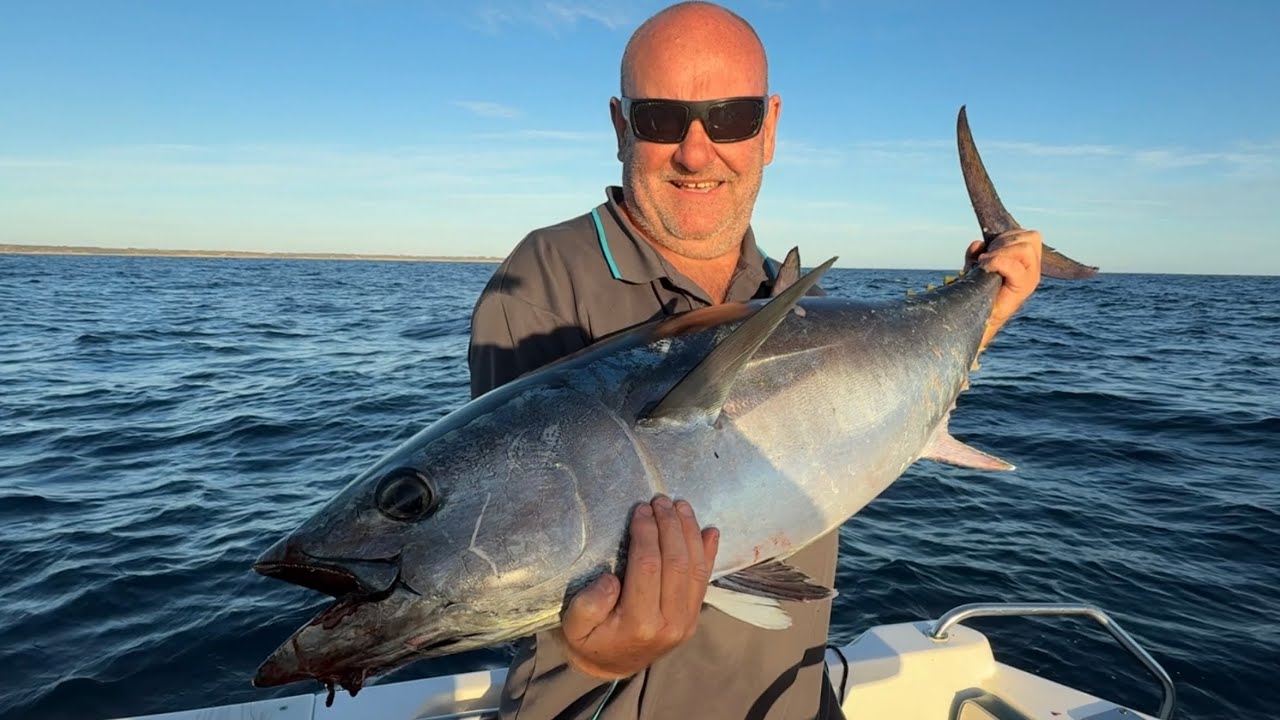 Trolling and casting at solid Bluefin in Bass Strait!!
