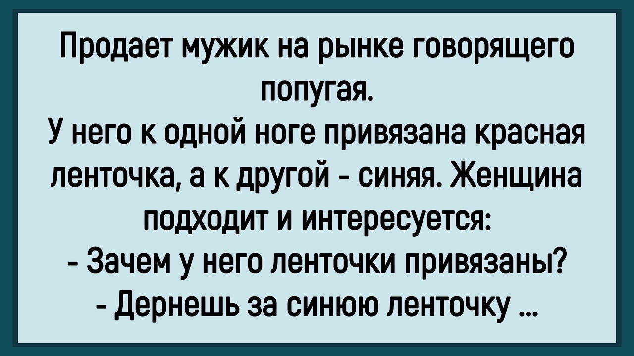 🤡Как Мужик На Рынке Говорящего Попугая Продавал! Сборник Смешных Анекдотов! Юмор! Позитив!