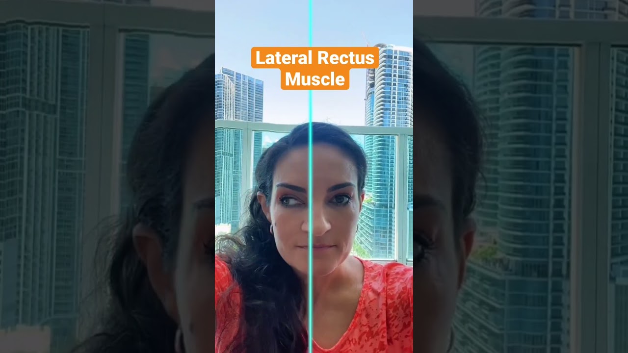 Action: Lateral Rectus Muscle! Muscles that moveour eyeball insert in the sclera of our eye 👁