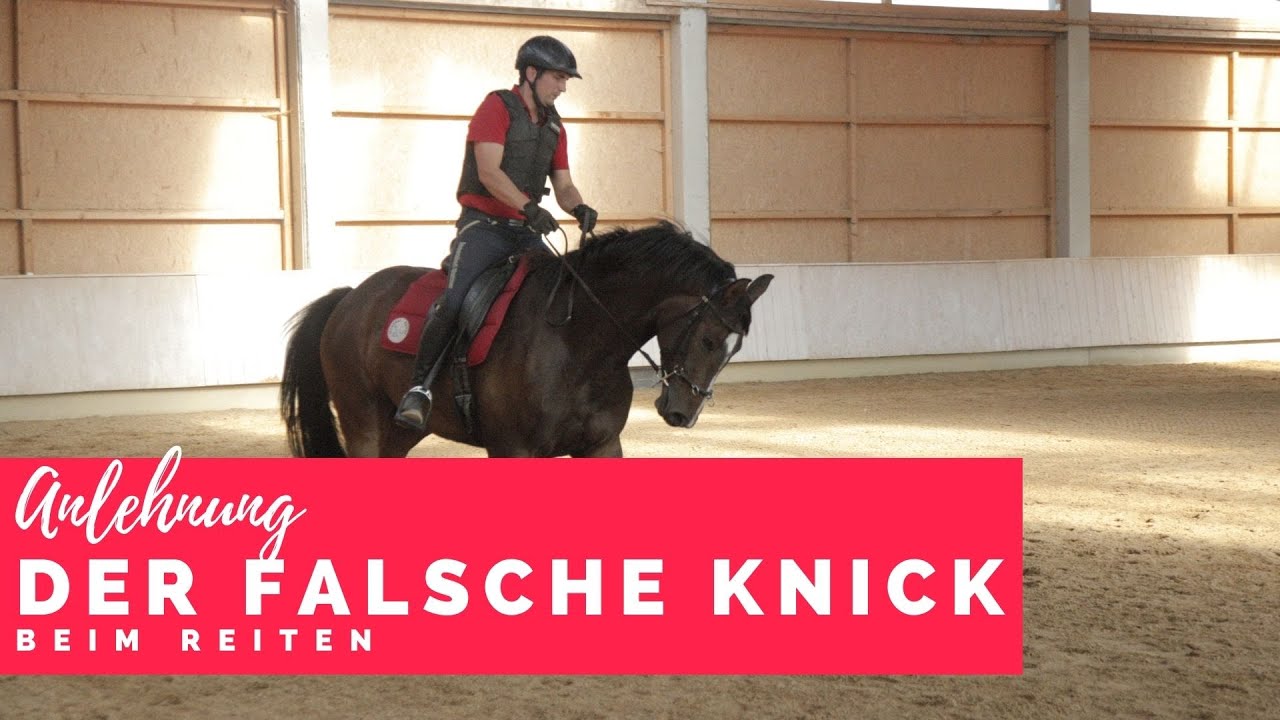 Falscher Knick durch falsche Ausbildung - Korrekturpferd unter dem Sattel